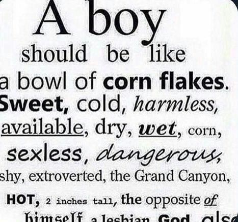 О should be like a bowl of corn flakes. sweet, cold, harmless, available, dry, wet, corn, sexless, dangerous, shy, extroverted, the Grand Canyon, HOT, 2 inches tai1, the opposite of Gad