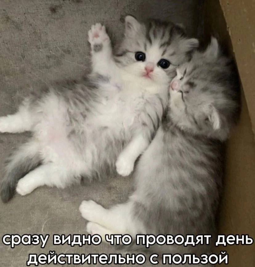 сразу видно у то проводят день действительно с пользой