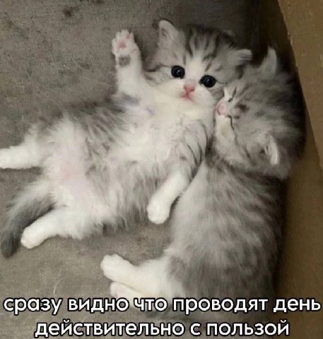 сразу видно у то проводят день действительно с пользой