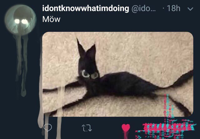 idontknowwhatimdoing Mow