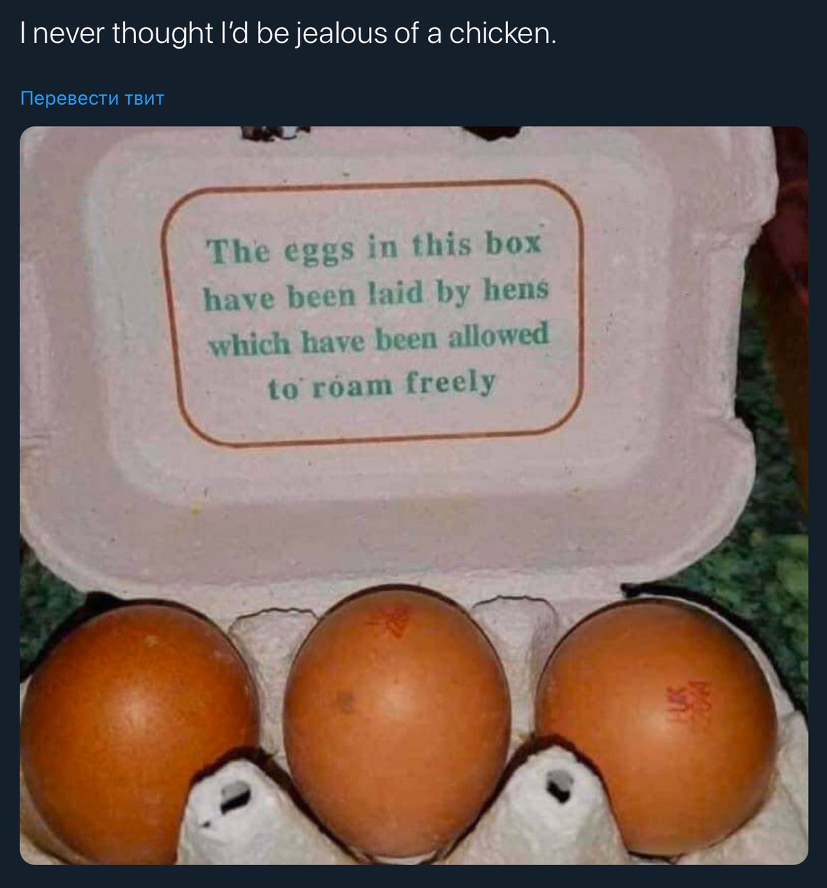 never thought be jealous of a chicken. Перевести TBUT The eggs in this box have hens which have been wed to roam