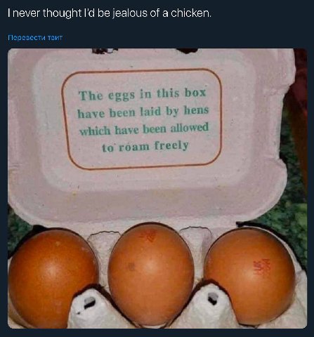 never thought be jealous of a chicken. Перевести TBUT The eggs in this box have hens which have been wed to roam