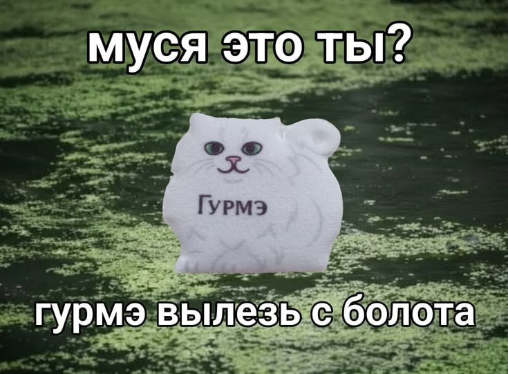 муся это ты? гурмэ вылезь с болота