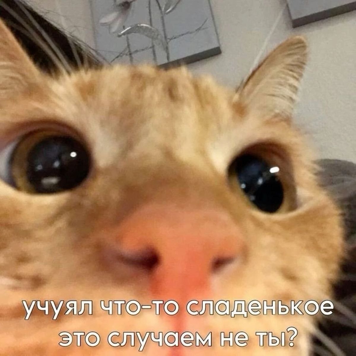 Перешли 😄