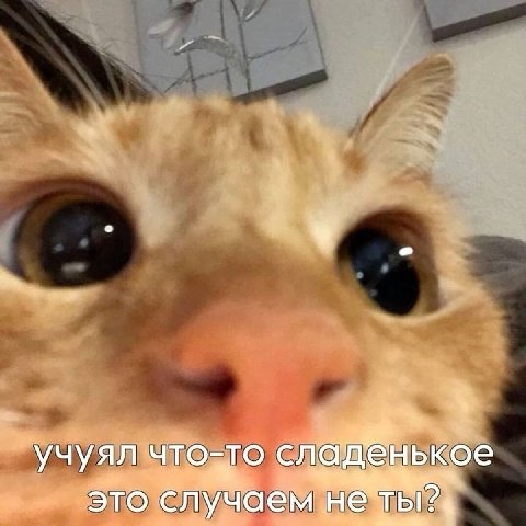 Перешли 😄