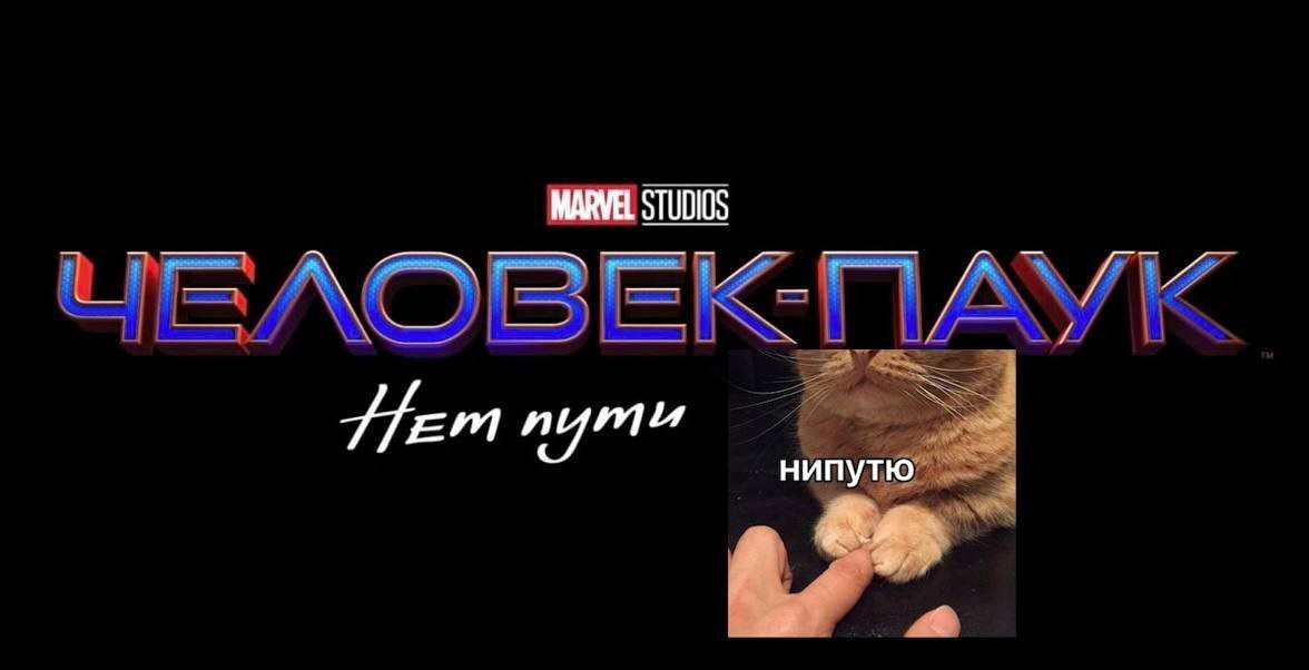 MARVEL STUDIOS нипутю