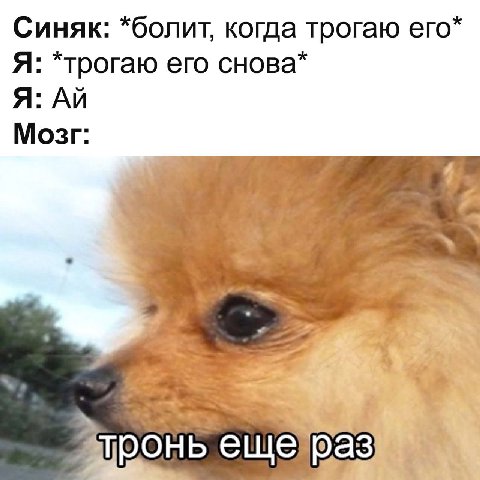 Синяк: *болит, когда трогаю его* Я: *трогаю его снова* Я: Мозг: тронь