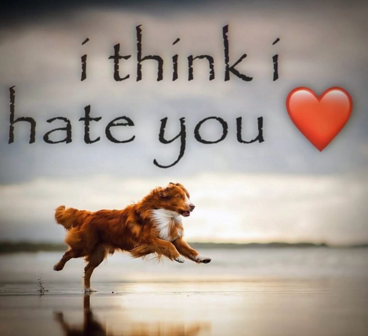 i think ate you