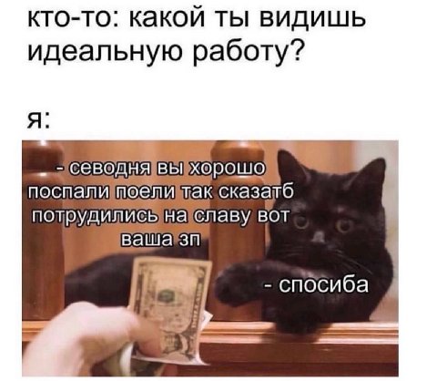 кто-то: какой ты видишь идеальную работу? я: хорошо сказагб потрудились на!славу BOT спосиба