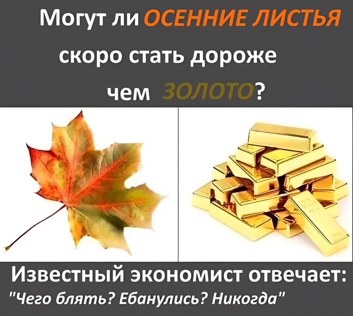 Могут ли скоро стать дороже чем Известный экономист отвечает "Чего блять? Ебанулись? Никогда"