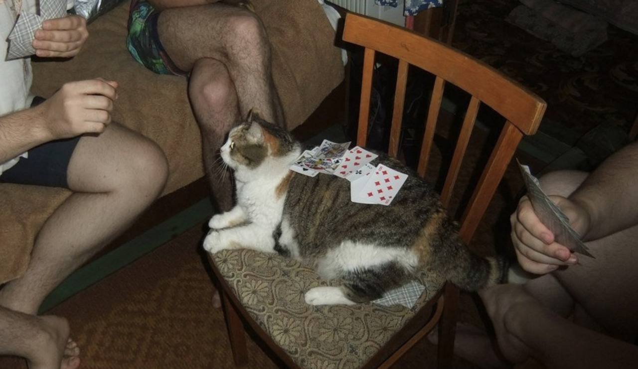 4: