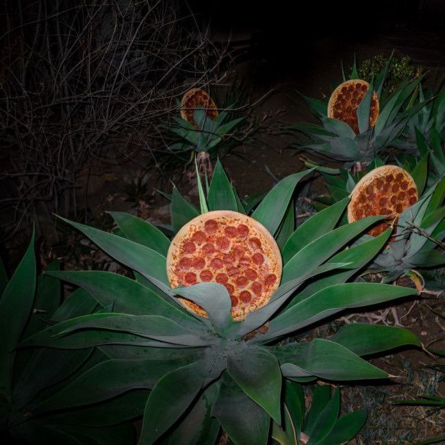 What if we went on pizza fields at night..