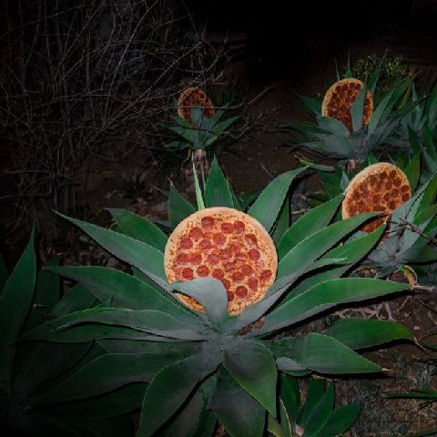 What if we went on pizza fields at night..
