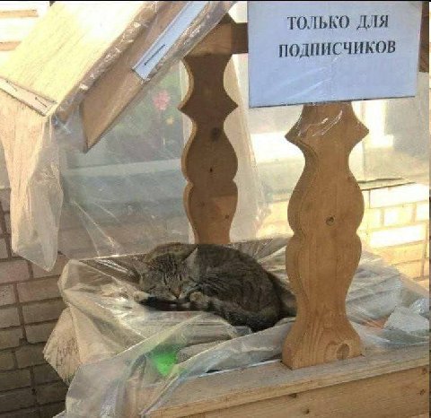 ТОЛЬКО ДЛЯ ПОДПИСЧИКОВ А A