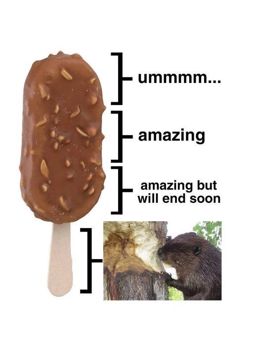 ummmm.. amazing will end soon amazing but