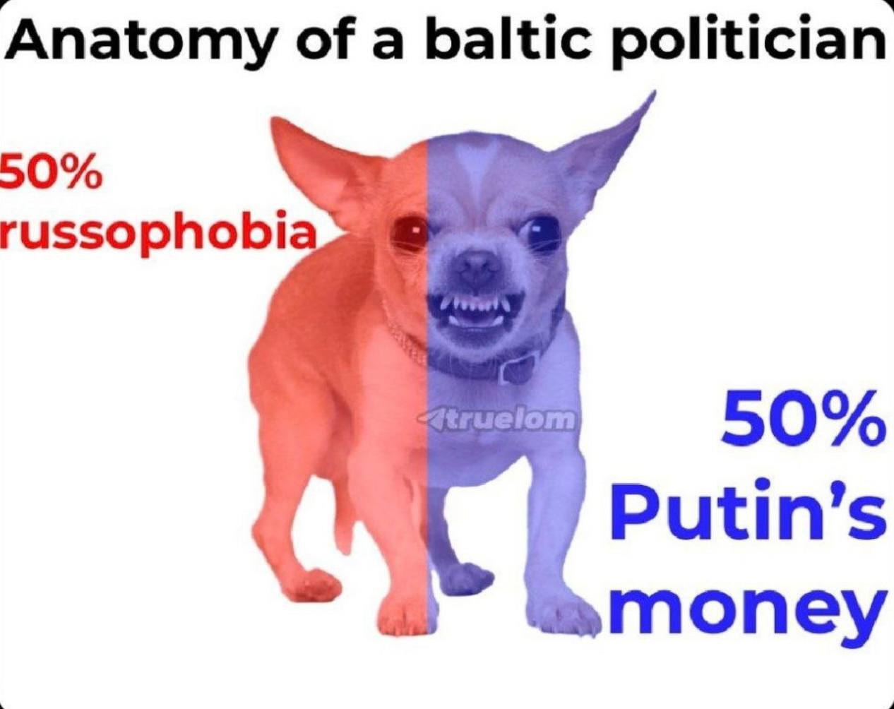Anatomy of a baltic politician 50% russophobi 50% Putin’s money