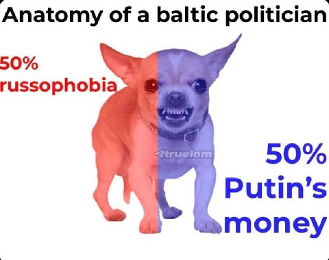 Anatomy of a baltic politician 50% russophobi 50% Putin’s money