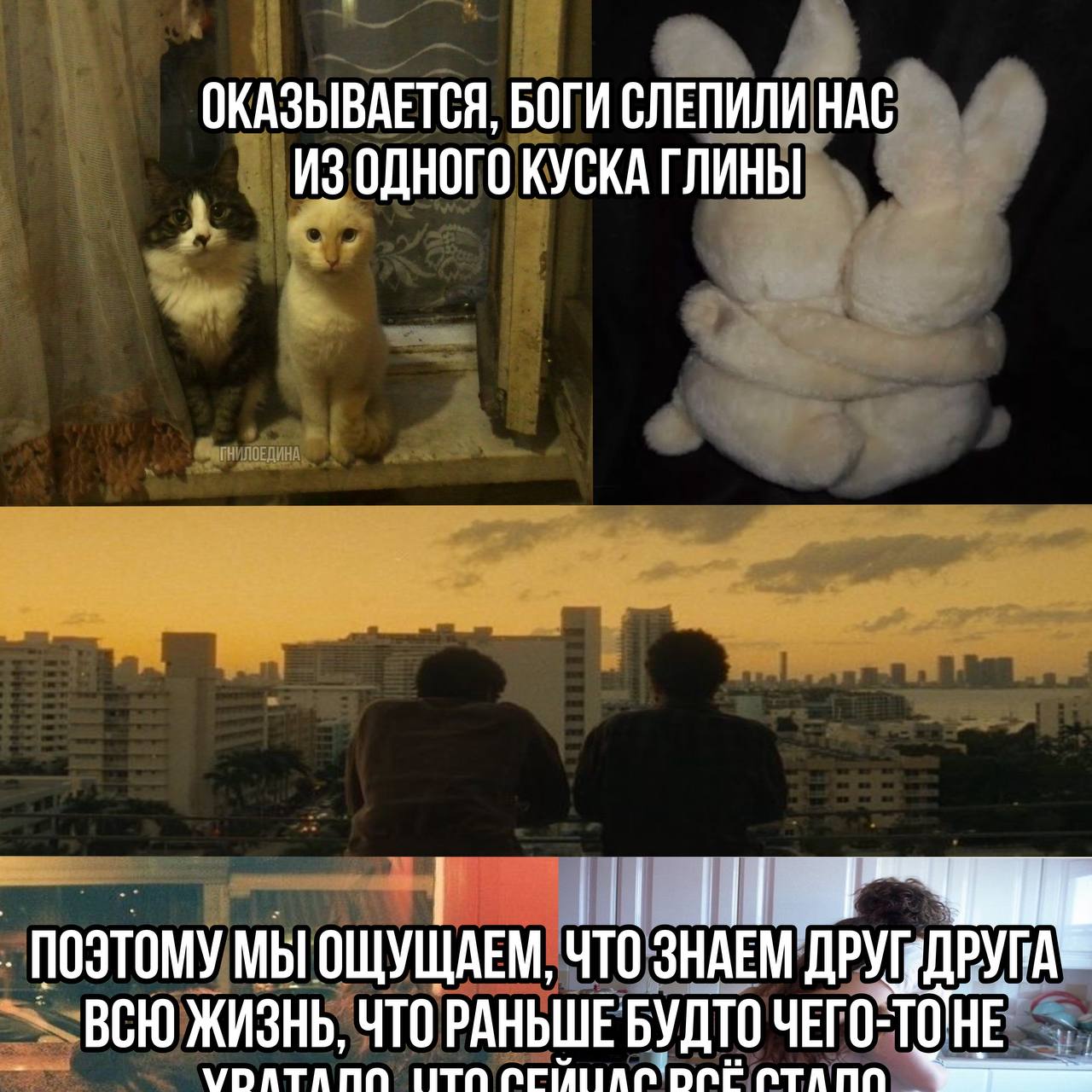 понимаешь?