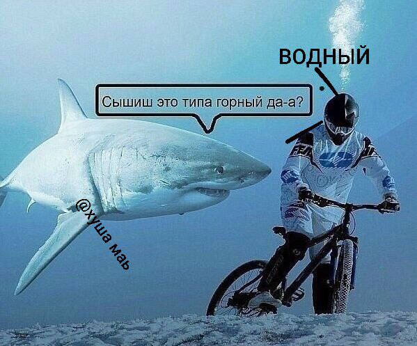 водный это типа горнь