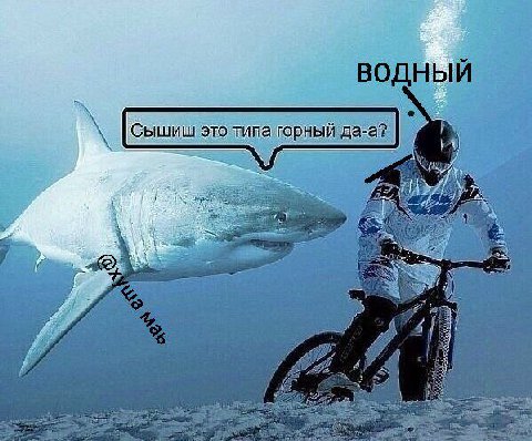 водный это типа горнь