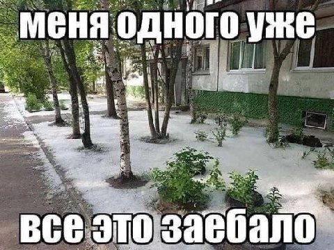 меня одного 3 we Все 310 3a