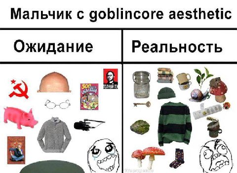Мальчик с goblincore aesthetic Ожидание Реальность ree:
