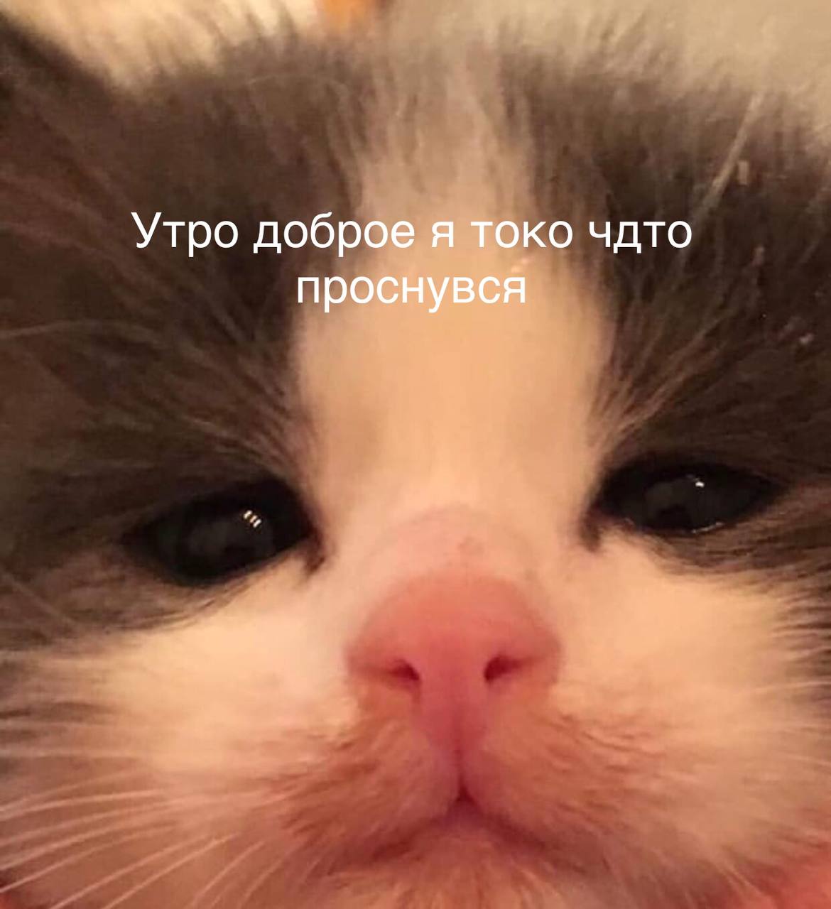 Утро доброе я токо чдто проснувся