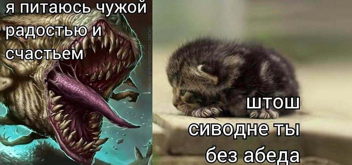 Я питаюсь чужой радостью. и, счастьем 5 he ШТОШ TBI без абеда
