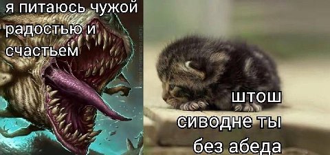 Я питаюсь чужой радостью. и, счастьем 5 he ШТОШ TBI без абеда