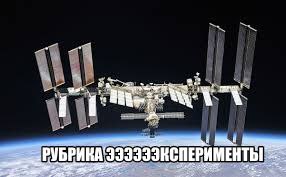 РУБРИКА