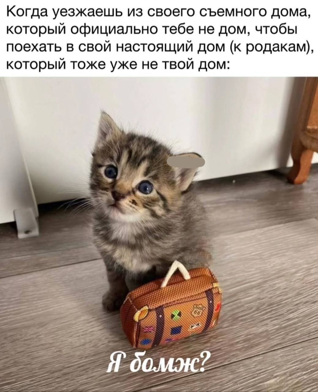 Когда уезжаешь из своего съемного дома, который официально тебе не дом, чтобы поехать в свой настоящий дом (к родакам), который тоже уже не твой дом: 2 A 2 A Ябомж