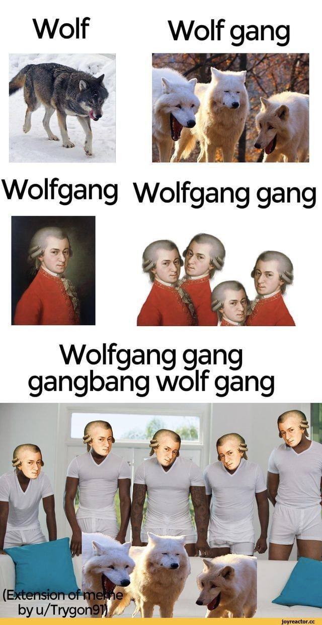 Wolf Wolf gang Wolfgang Wolfgang gang 9 Wolfgang gang gangbang wolf gang a u/Trygo