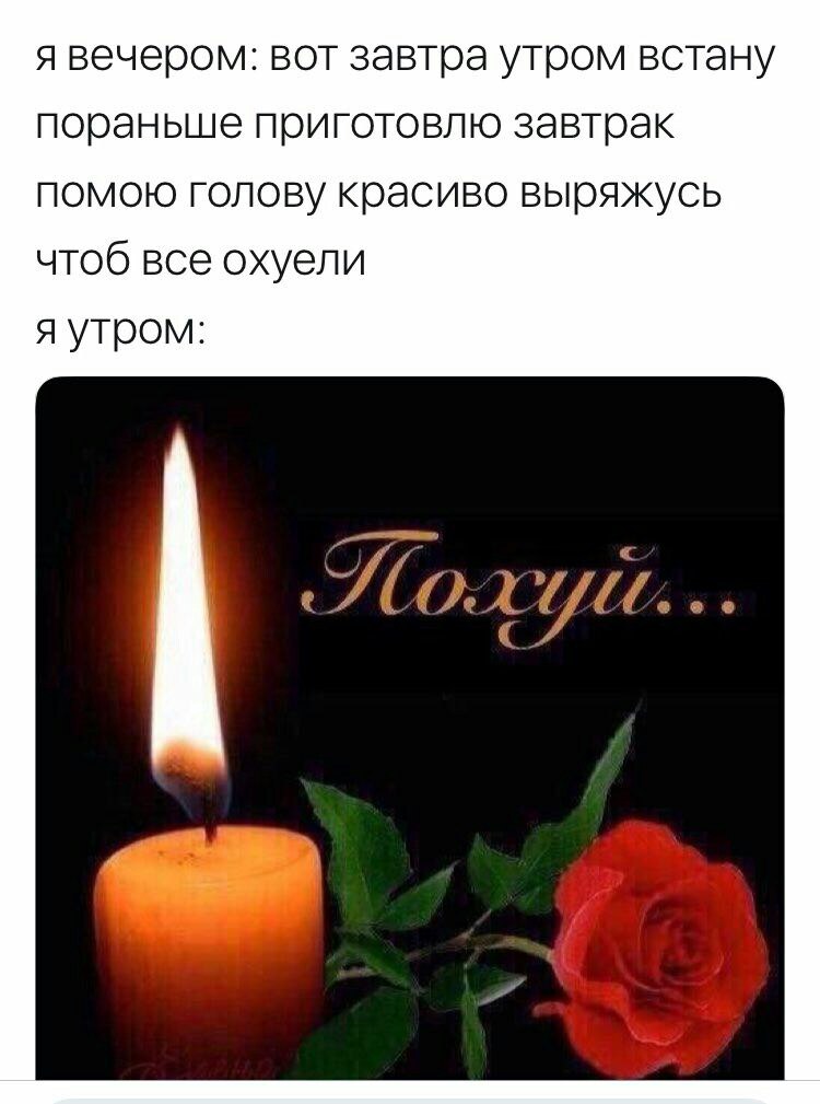 я вечером: вот завтра утром встану пораньше приготовлю завтрак помою голову красиво выряжусь чтоб все охуели я утром: