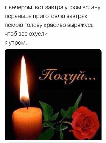 я вечером: вот завтра утром встану пораньше приготовлю завтрак помою голову красиво выряжусь чтоб все охуели я утром: