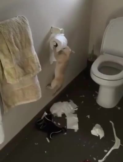 и
