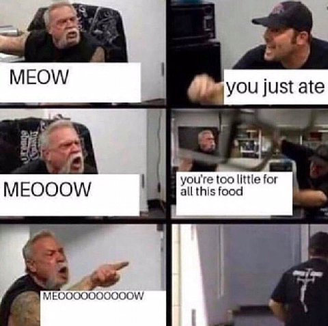 you just ate you're too little for all this food