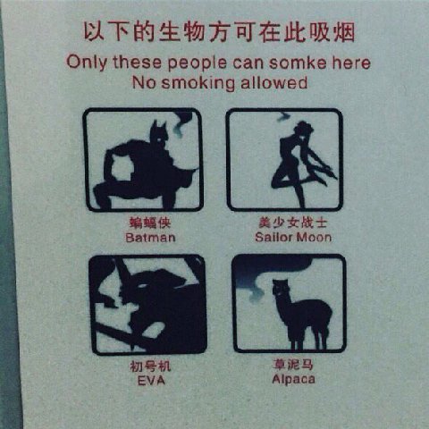 Only these people can somke here No smoking allowed Batman Sailor Moon BRS EVA Alpaca