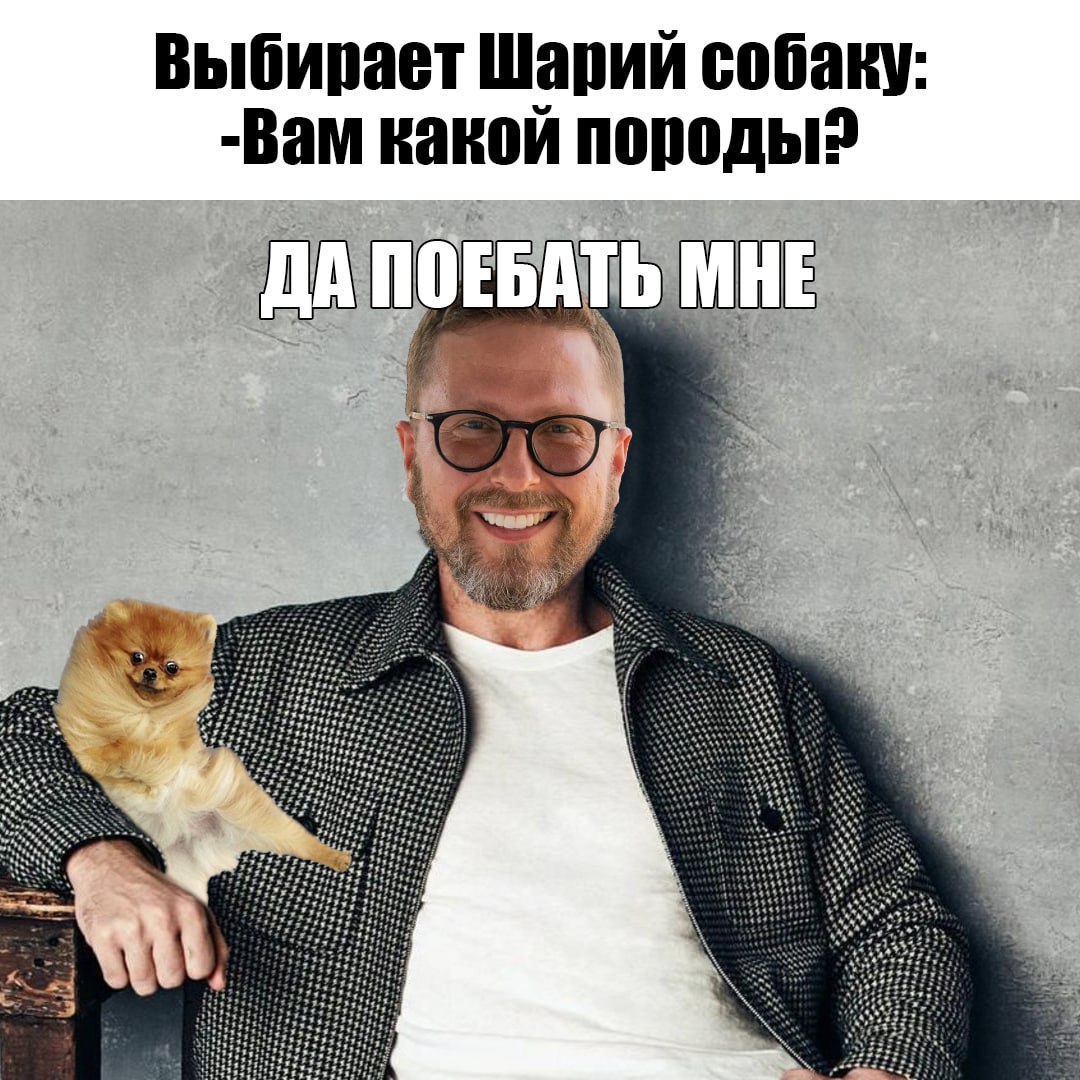 Выбирает Шарий собаку: -Вам какой породы? 10 #1