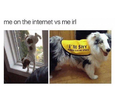 me on the internet me В GIVE