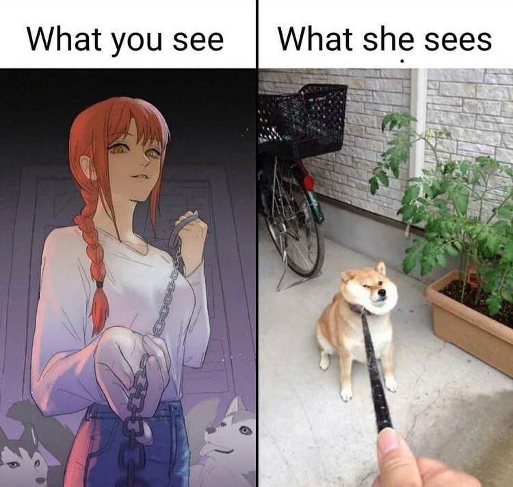 What you see What she sees