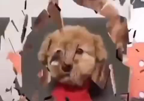 мем