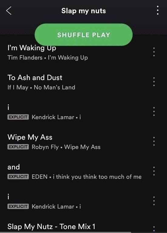 Slap my nuts Waking Tim Flanders Waking Up To Ash and Dust If May No Man's Land Kendrick Lamar i Wipe My Ass Robyn Fly Wipe My Ass and EDEN you think too muchofme Kendrick Lamar i Slap My Nutz Tone Mi