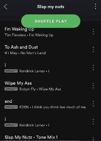 Slap my nuts Waking Tim Flanders Waking Up To Ash and Dust If May No Man's Land Kendrick Lamar i Wipe My Ass Robyn Fly Wipe My Ass and EDEN you think too muchofme Kendrick Lamar i Slap My Nutz Tone Mi