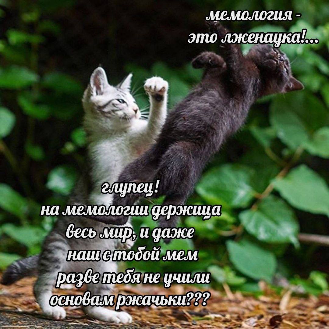 мемология это лженацка!. на мемологии держица весь миф, и даже наш стодой Mem разве тебя не учили основам
