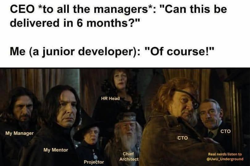 CEO “to all the тападегз*: "Can this be delivered in 6 months?" (a junior developer): "ОТ course!" Head сто Мападег сто My Mentor Chief Real nerds listen to Architect @UwU_Underground