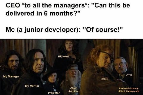 CEO “to all the тападегз*: "Can this be delivered in 6 months?" (a junior developer): "ОТ course!" Head сто Мападег сто My Mentor Chief Real nerds listen to Architect @UwU_Underground
