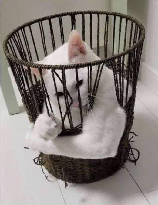 А