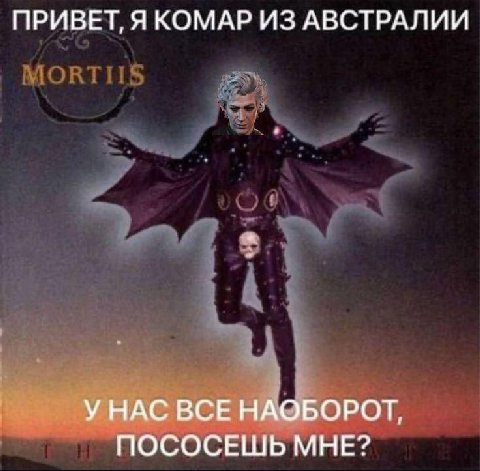 ПРИВЕТ, Я КОМАР ИЗ АВСТРАЛИИ У НАС ВСЕ НАОБОРОТ, ПОСОСЕШЬ МНЕ?