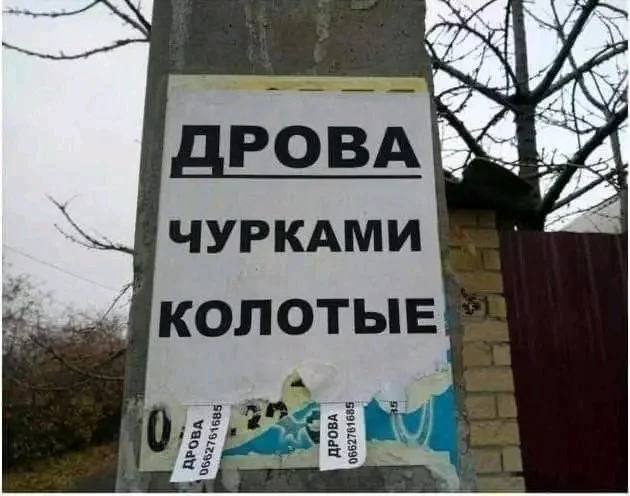 ДРОВА ЧУРКАМИ КОЛОТЫЕ i