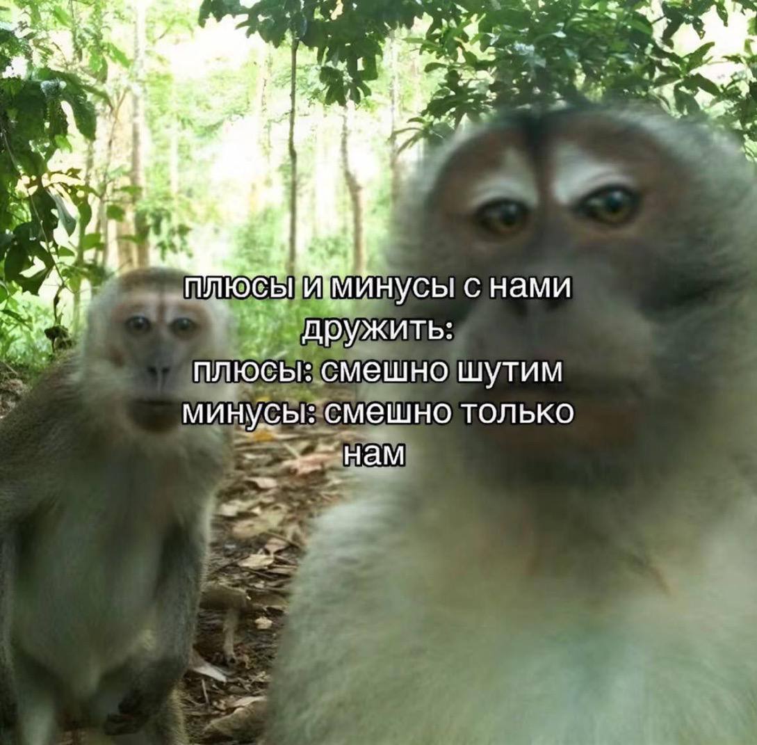 at 1 ore минусы с нами a дружить: плюсы: смешно шутим минусы: смешно только